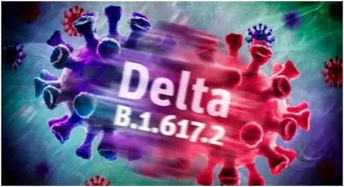 德?tīng)査局?png