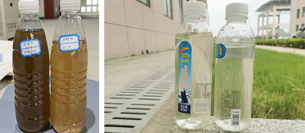 保養(yǎng)前后的水質(zhì)對比 保養(yǎng)前后的水質(zhì)對比