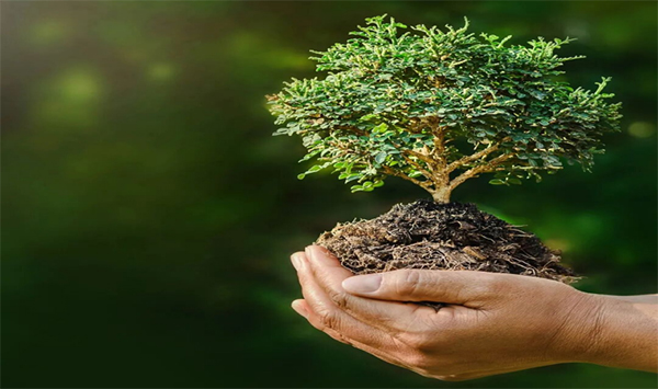 安峰環(huán)保.jpg 安峰環(huán)保.jpg